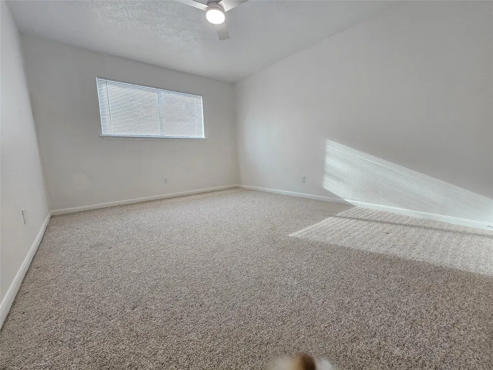 4707 Bradstone Drive Hockley, TX 77084