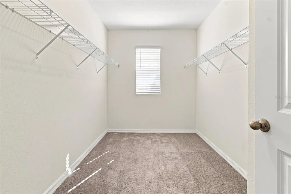 2763 COMMON FIG RUN Wesley Chapel, FL 33543