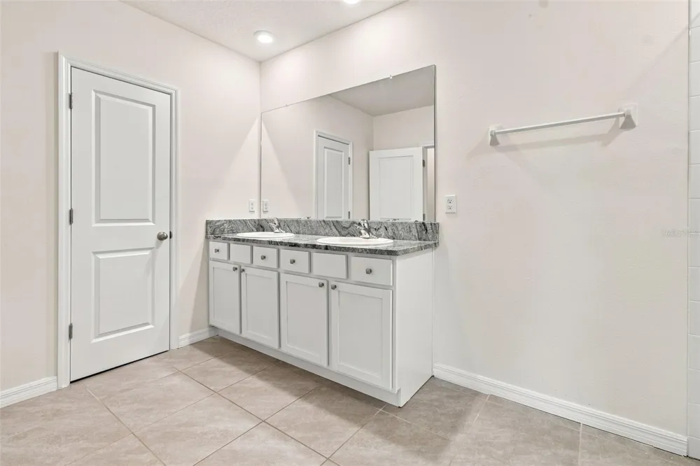 2763 COMMON FIG RUN Wesley Chapel, FL 33543