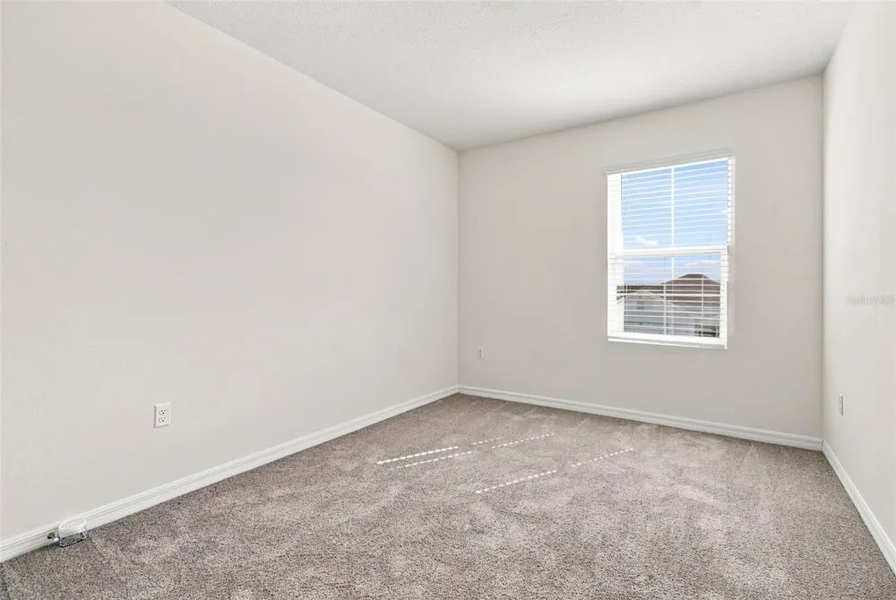 2763 COMMON FIG RUN Wesley Chapel, FL 33543