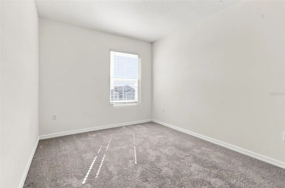 2763 COMMON FIG RUN Wesley Chapel, FL 33543
