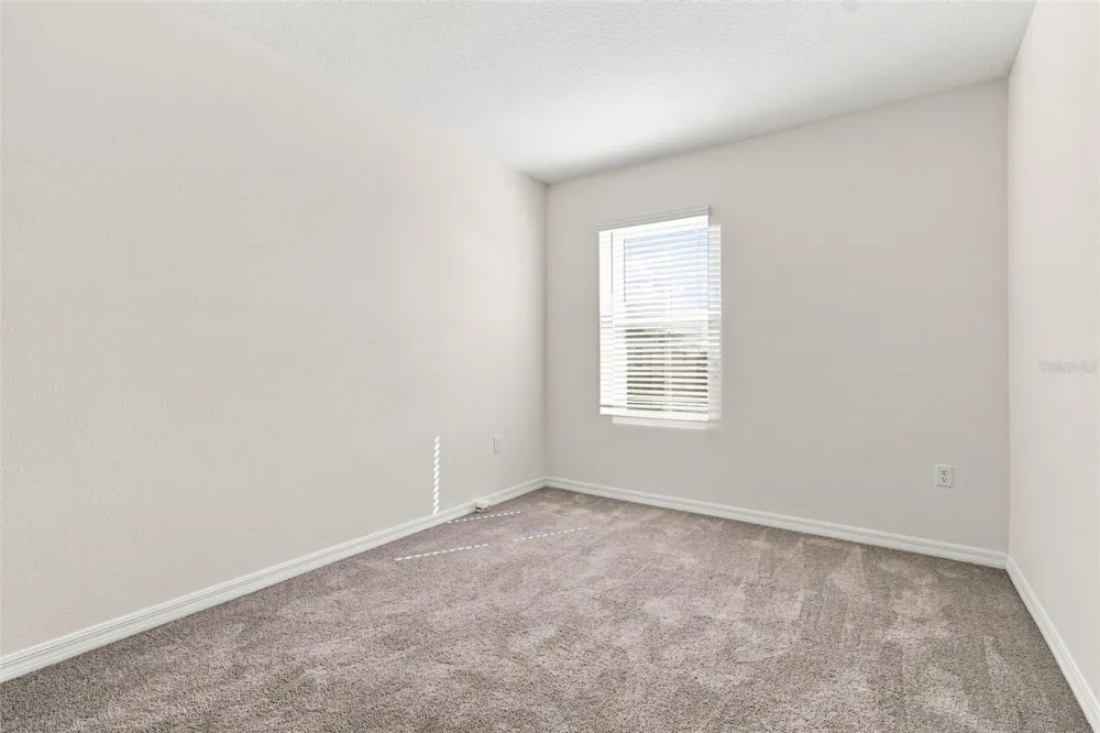 2763 COMMON FIG RUN Wesley Chapel, FL 33543