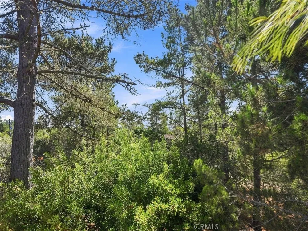 1927 Norwich Cambria, CA 93428