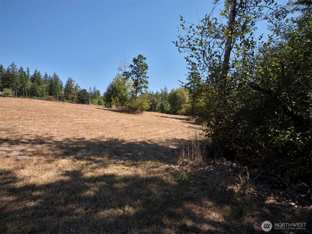 0 NE Lucia Falls Road Battle Ground, WA 98604