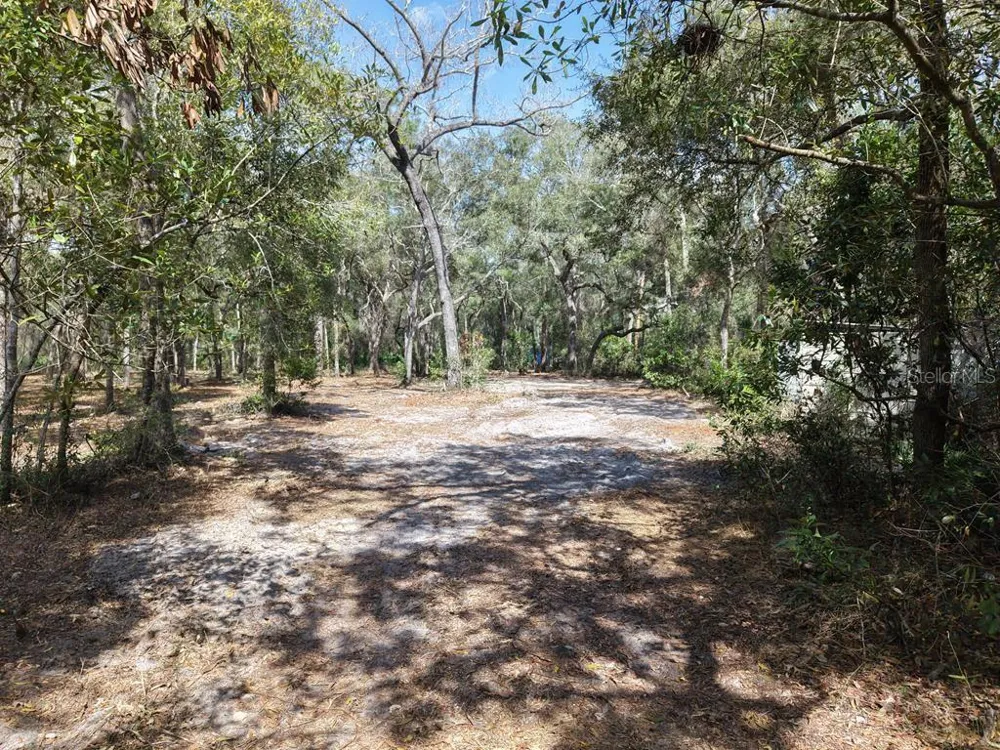 8211 NW 168TH LANE Trenton, FL 32693