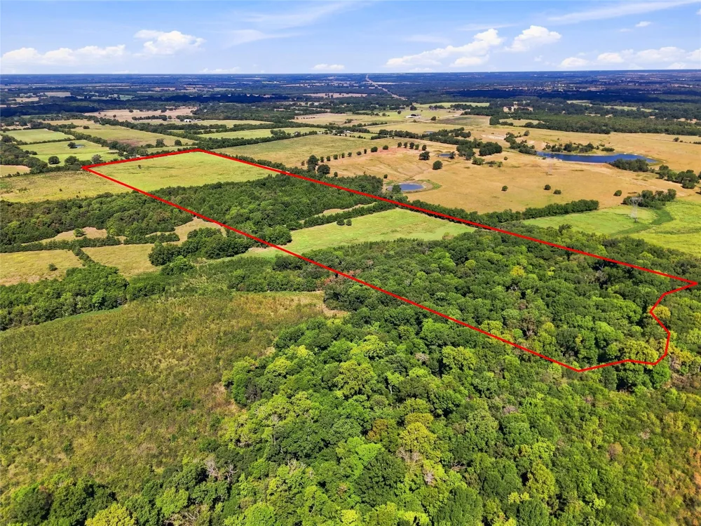 Farm Road 905 Pattonville, TX 75468