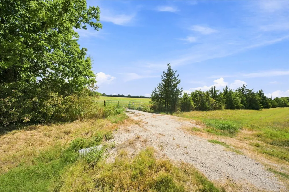 Farm Road 905 Pattonville, TX 75468