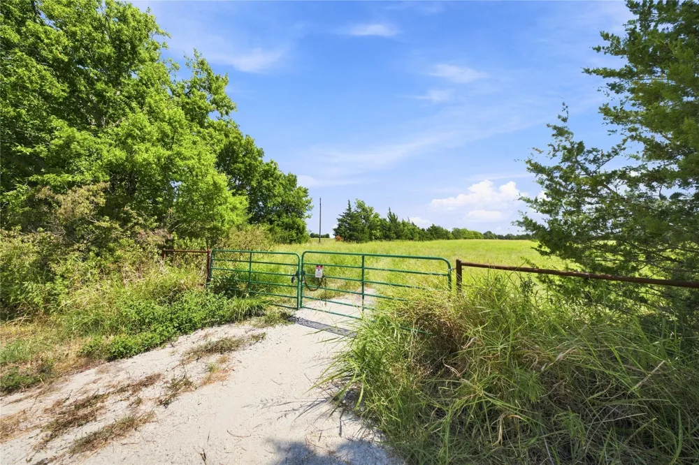 Farm Road 905 Pattonville, TX 75468