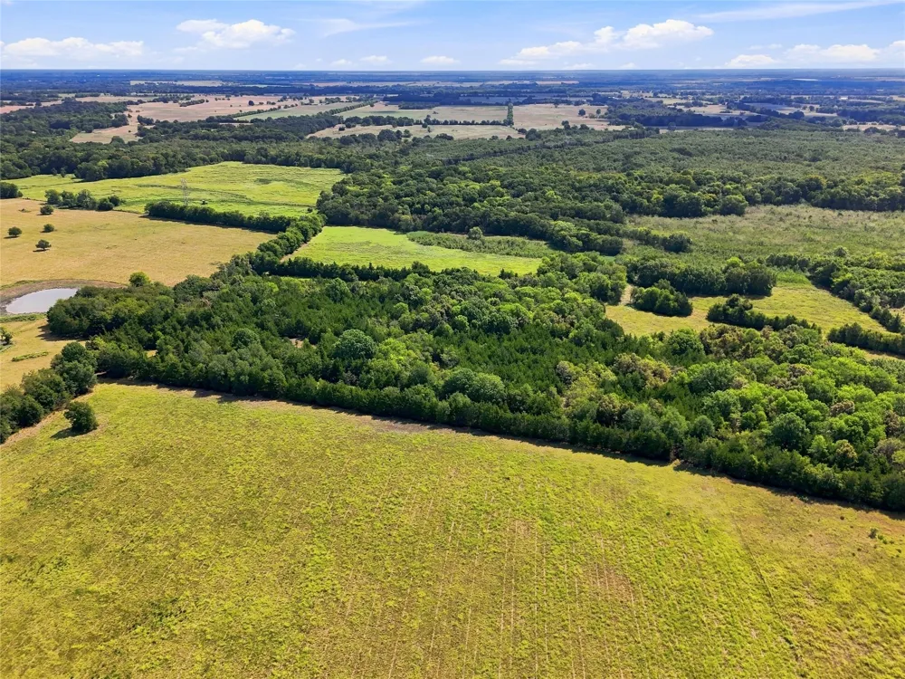 Farm Road 905 Pattonville, TX 75468