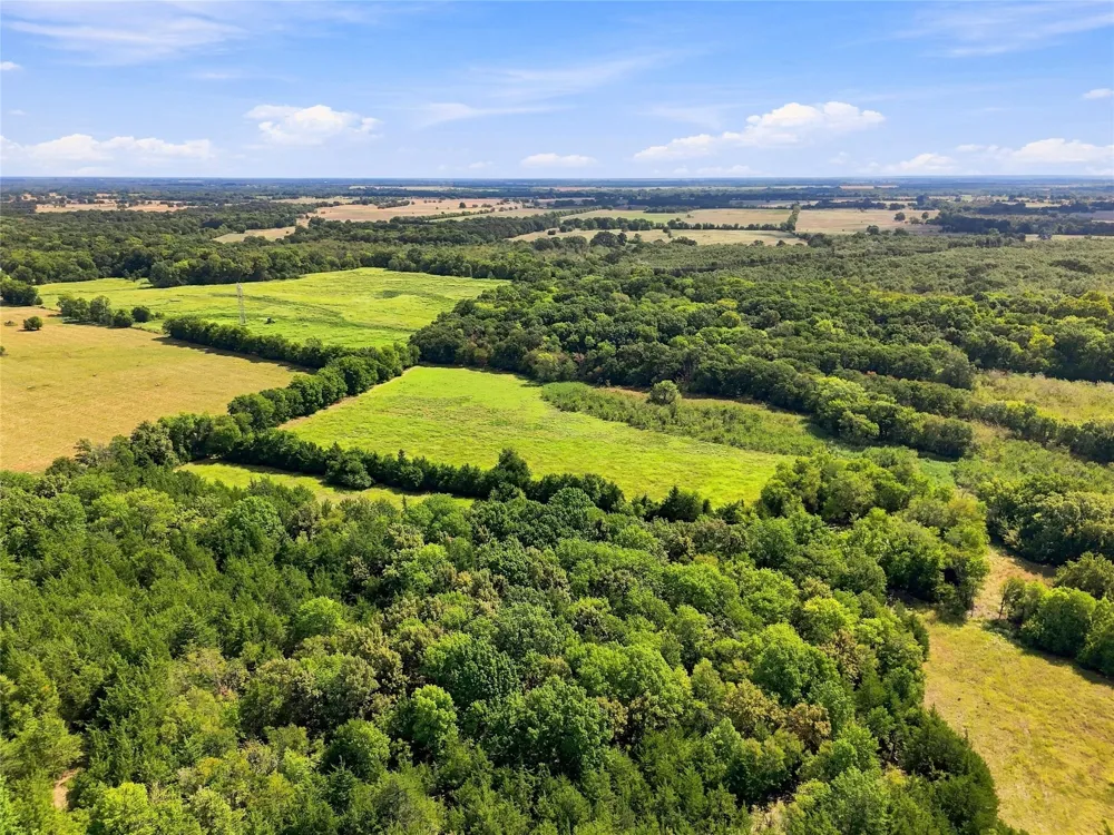 Farm Road 905 Pattonville, TX 75468