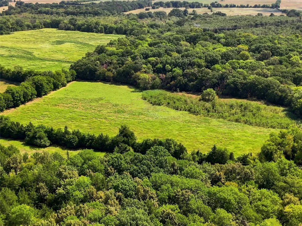 Farm Road 905 Pattonville, TX 75468
