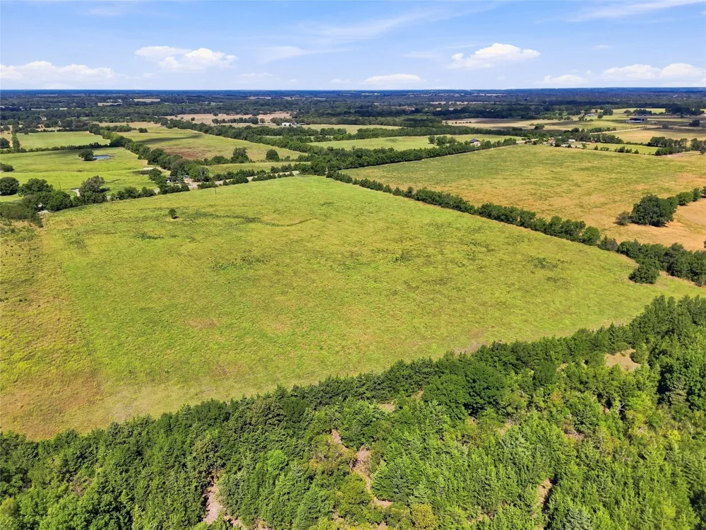 Farm Road 905 Pattonville, TX 75468