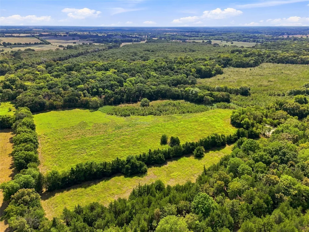 Farm Road 905 Pattonville, TX 75468