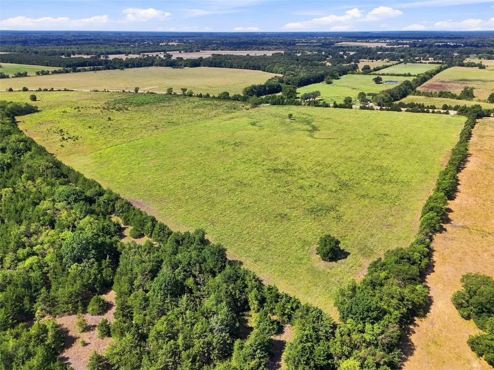 Farm Road 905 Pattonville, TX 75468