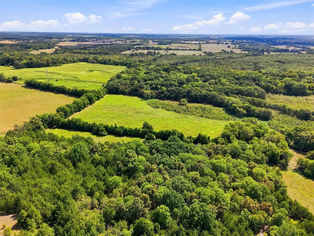 Farm Road 905 Pattonville, TX 75468