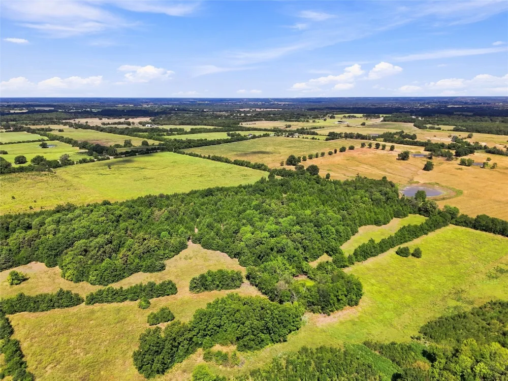 Farm Road 905 Pattonville, TX 75468
