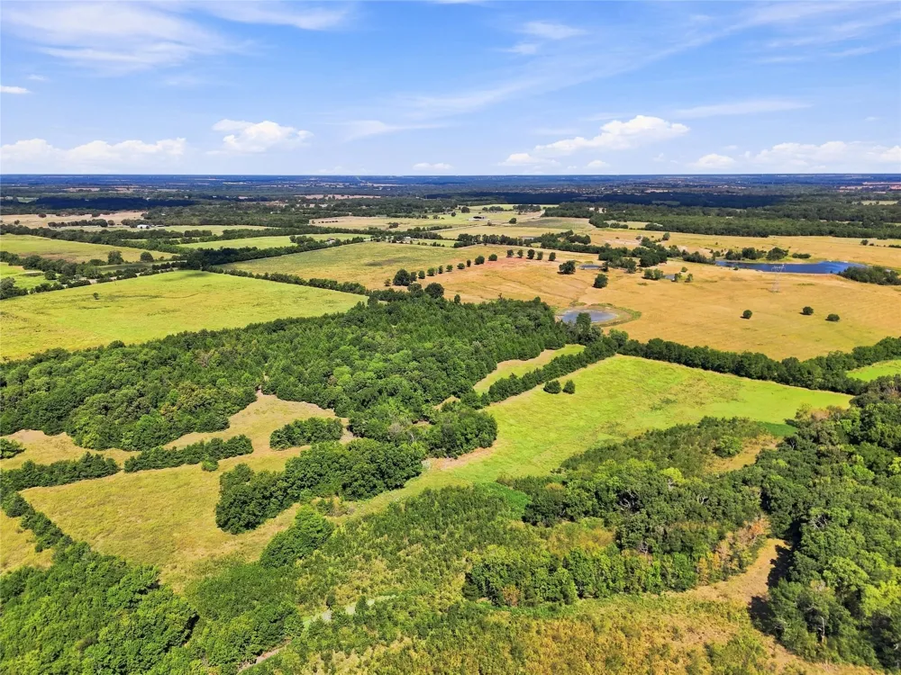 Farm Road 905 Pattonville, TX 75468