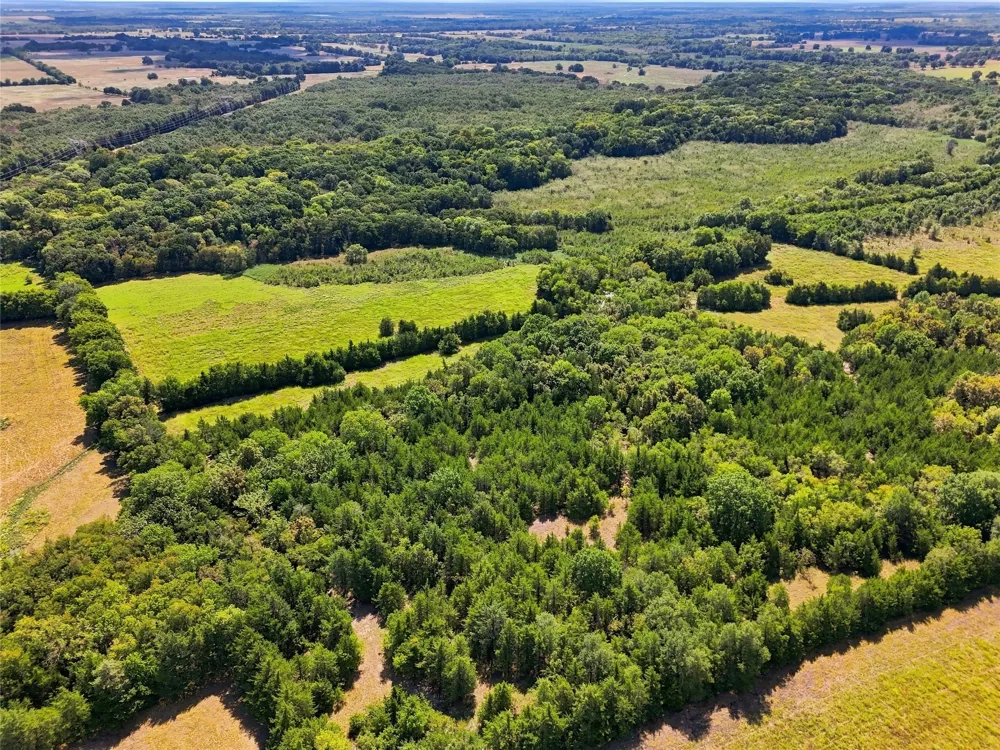 Farm Road 905 Pattonville, TX 75468