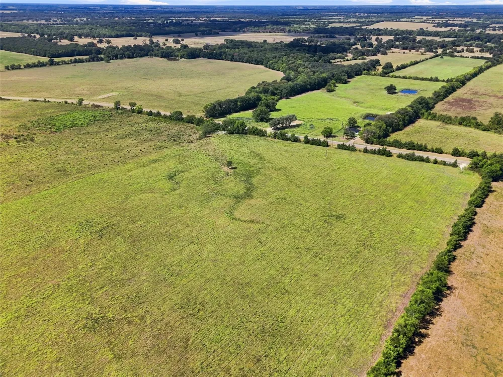 Farm Road 905 Pattonville, TX 75468