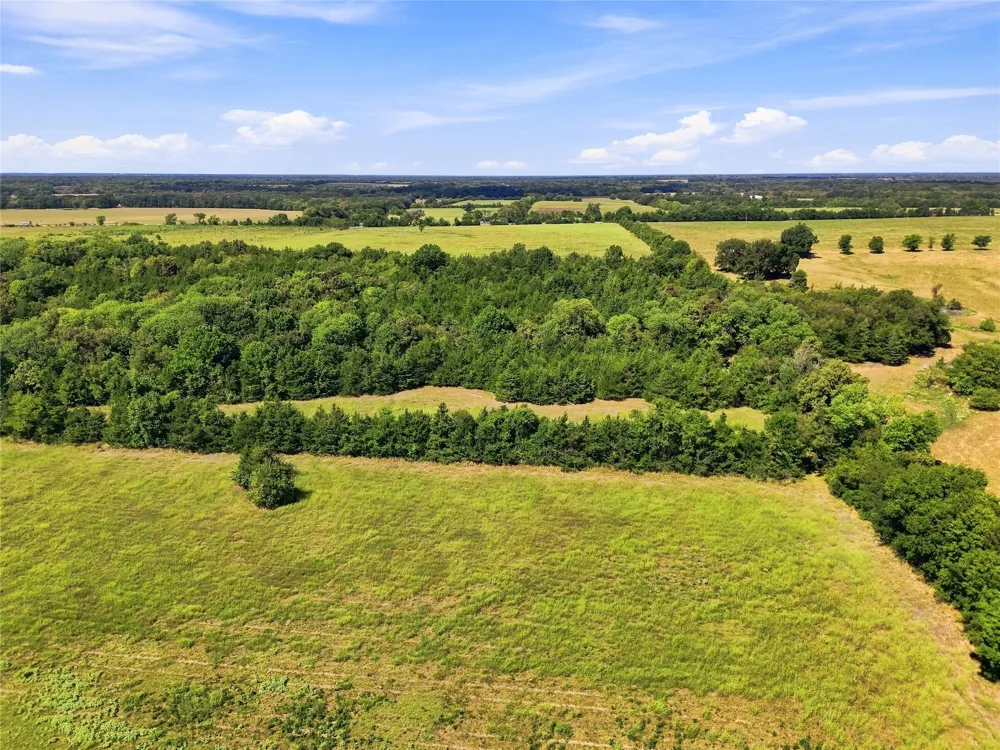 Farm Road 905 Pattonville, TX 75468