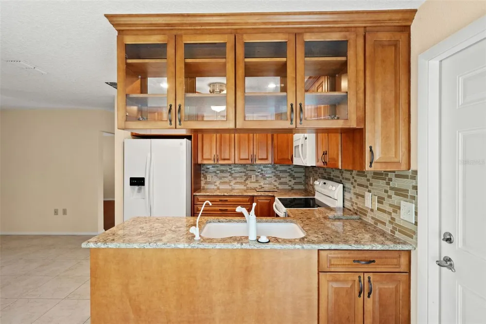 6090 ELCONA COURT Spring Hill, FL 34606
