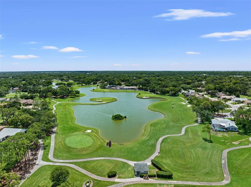 6090 ELCONA COURT Spring Hill, FL 34606