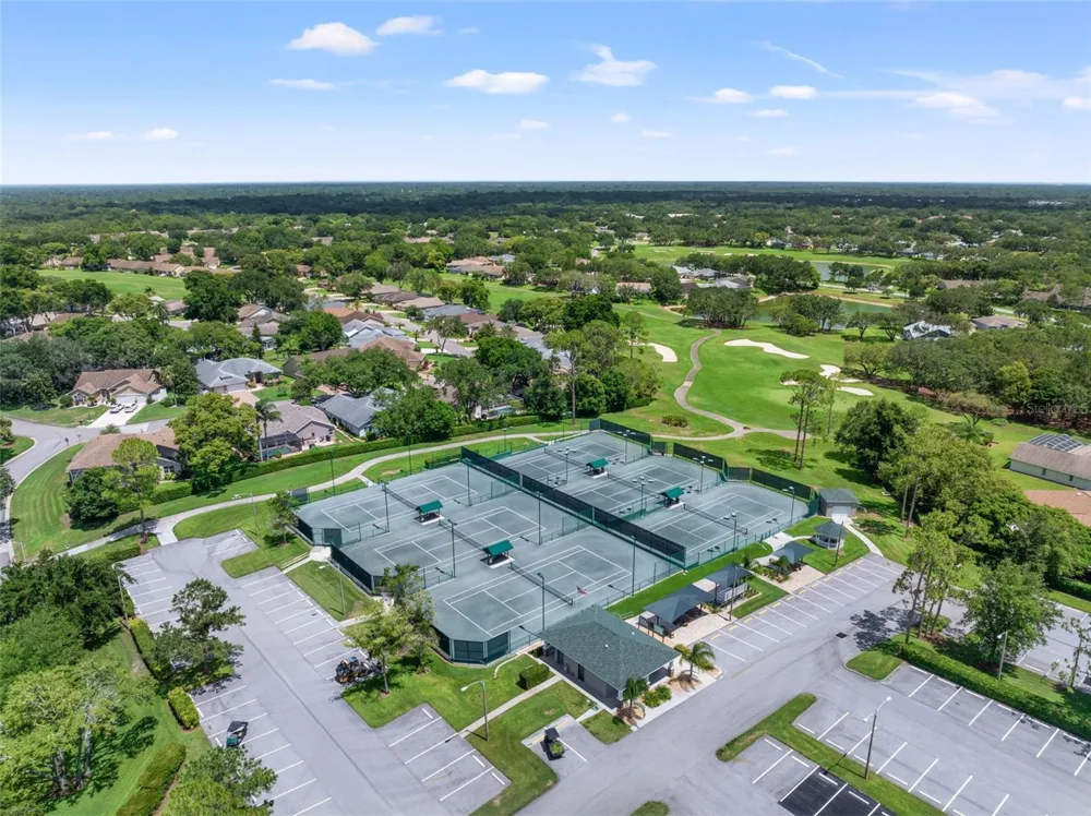 6090 ELCONA COURT Spring Hill, FL 34606
