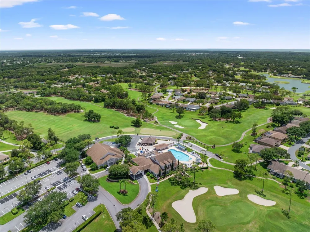 6090 ELCONA COURT Spring Hill, FL 34606