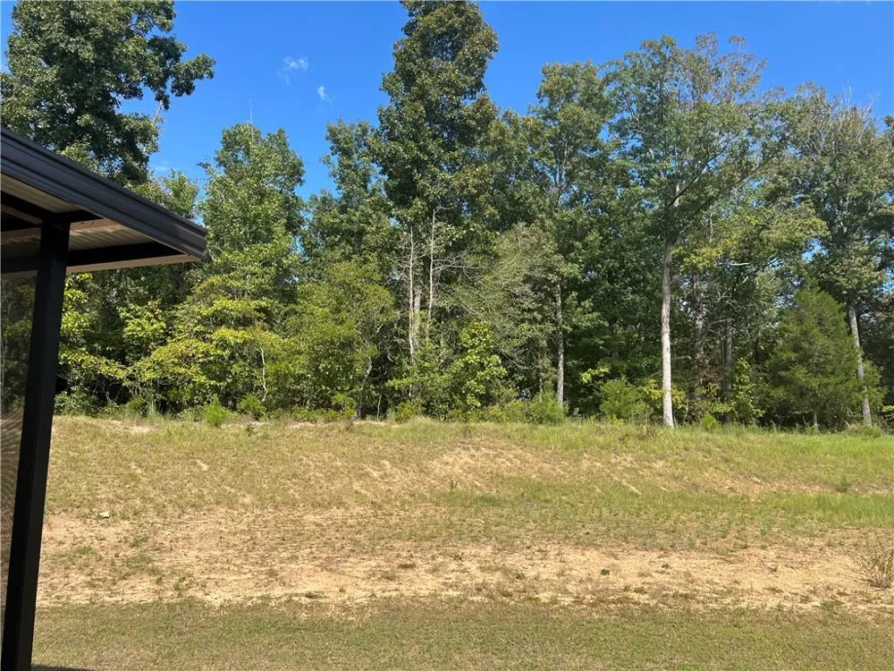 224 Dream Catcher Drive Lizella, GA 31052