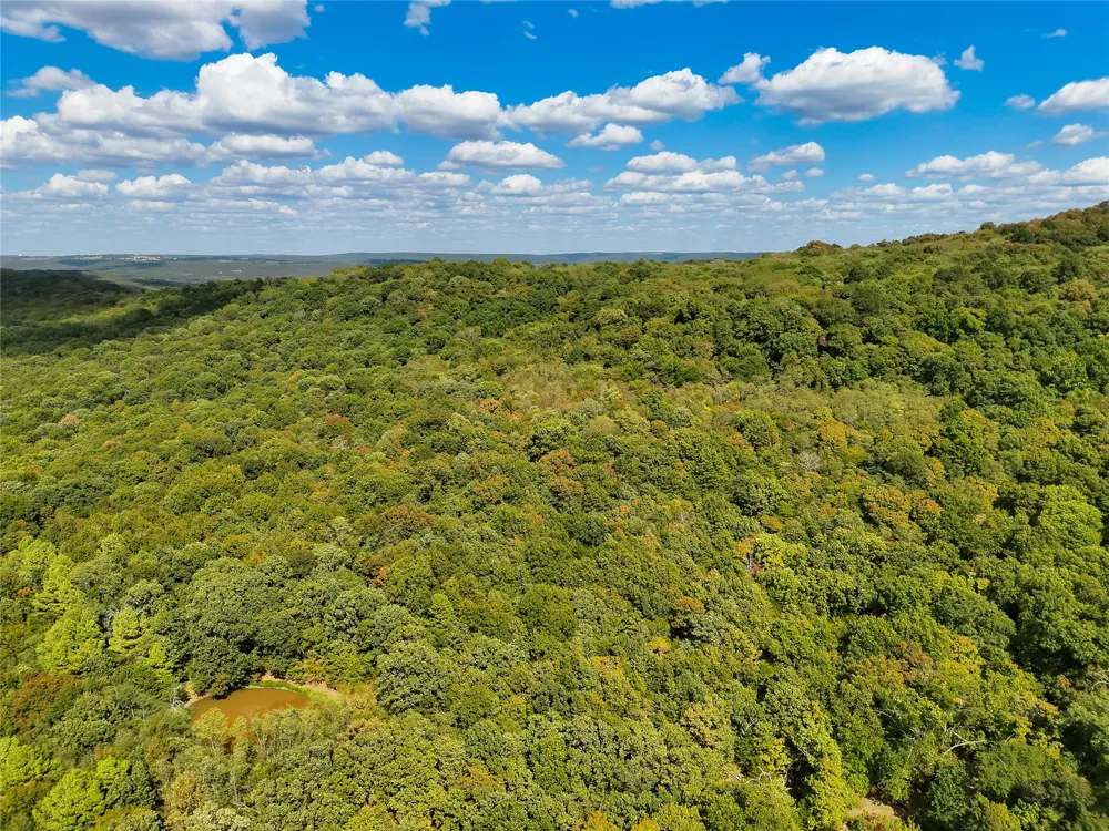 17402 S Highway 59 Lincoln, AR 72744