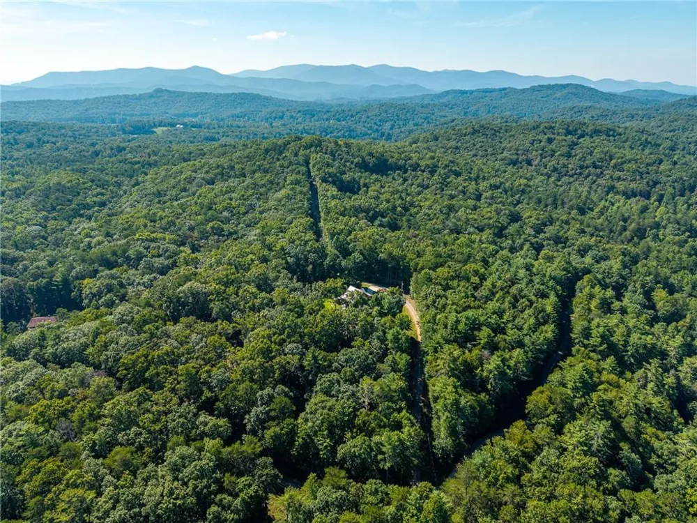 31 Highland Hammock Drive Drive Blue Ridge, GA 30513