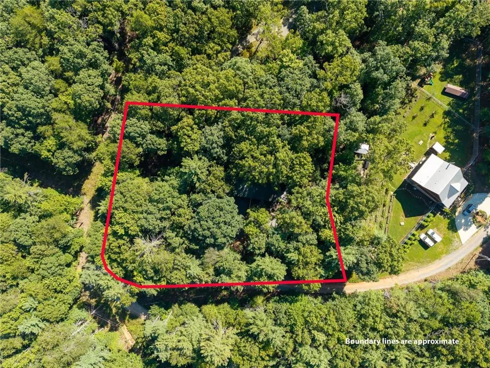 31 Highland Hammock Drive Drive Blue Ridge, GA 30513