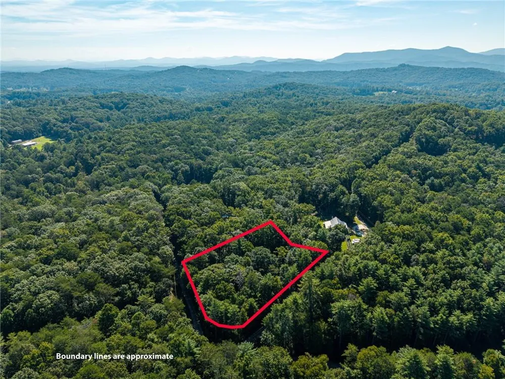31 Highland Hammock Drive Drive Blue Ridge, GA 30513