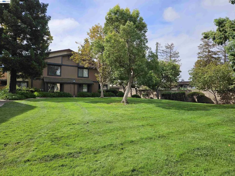 247 E Warren Cmn Fremont, CA 94539