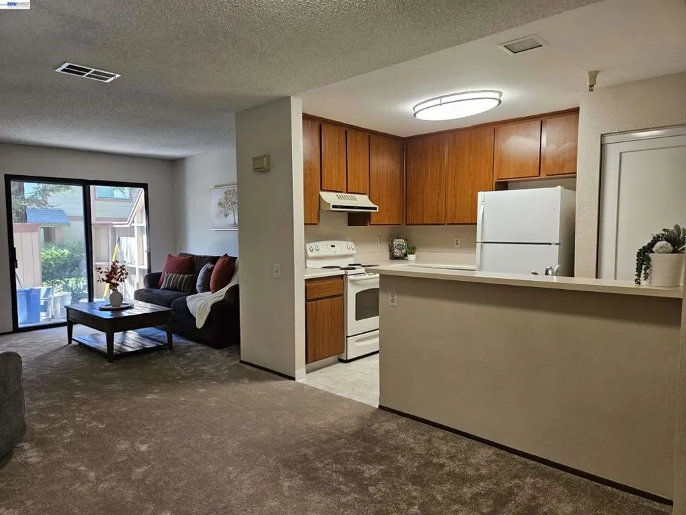 247 E Warren Cmn Fremont, CA 94539