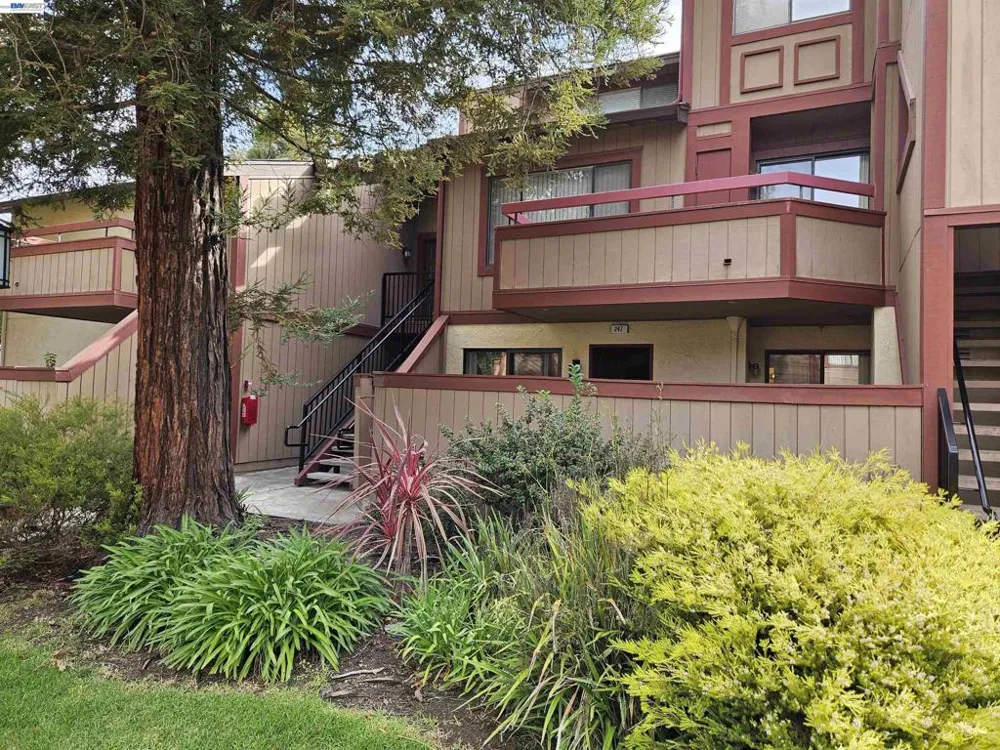 247 E Warren Cmn Fremont, CA 94539