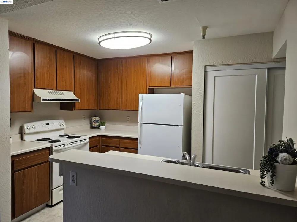 247 E Warren Cmn Fremont, CA 94539