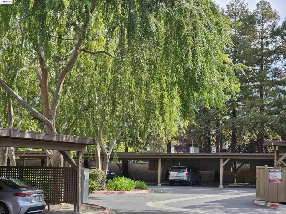 247 E Warren Cmn Fremont, CA 94539