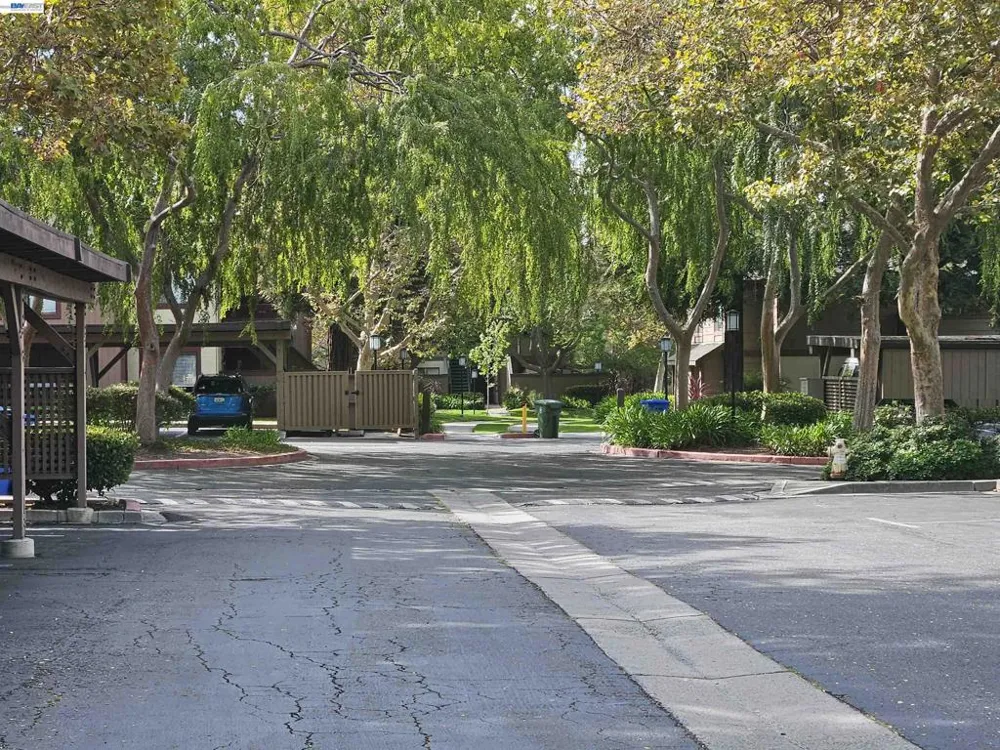 247 E Warren Cmn Fremont, CA 94539