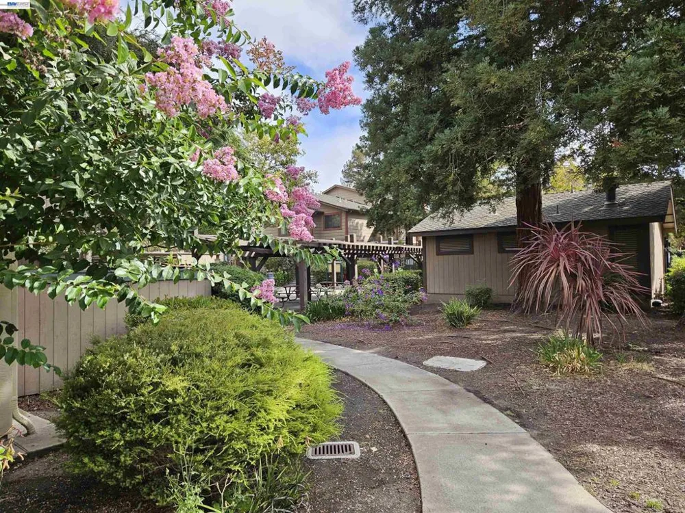 247 E Warren Cmn Fremont, CA 94539