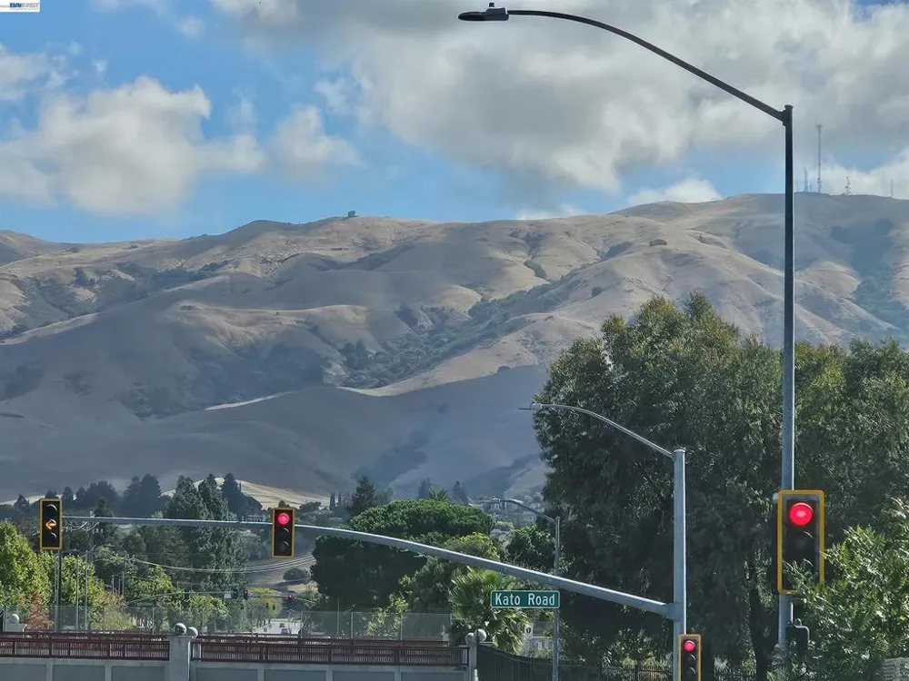 247 E Warren Cmn Fremont, CA 94539