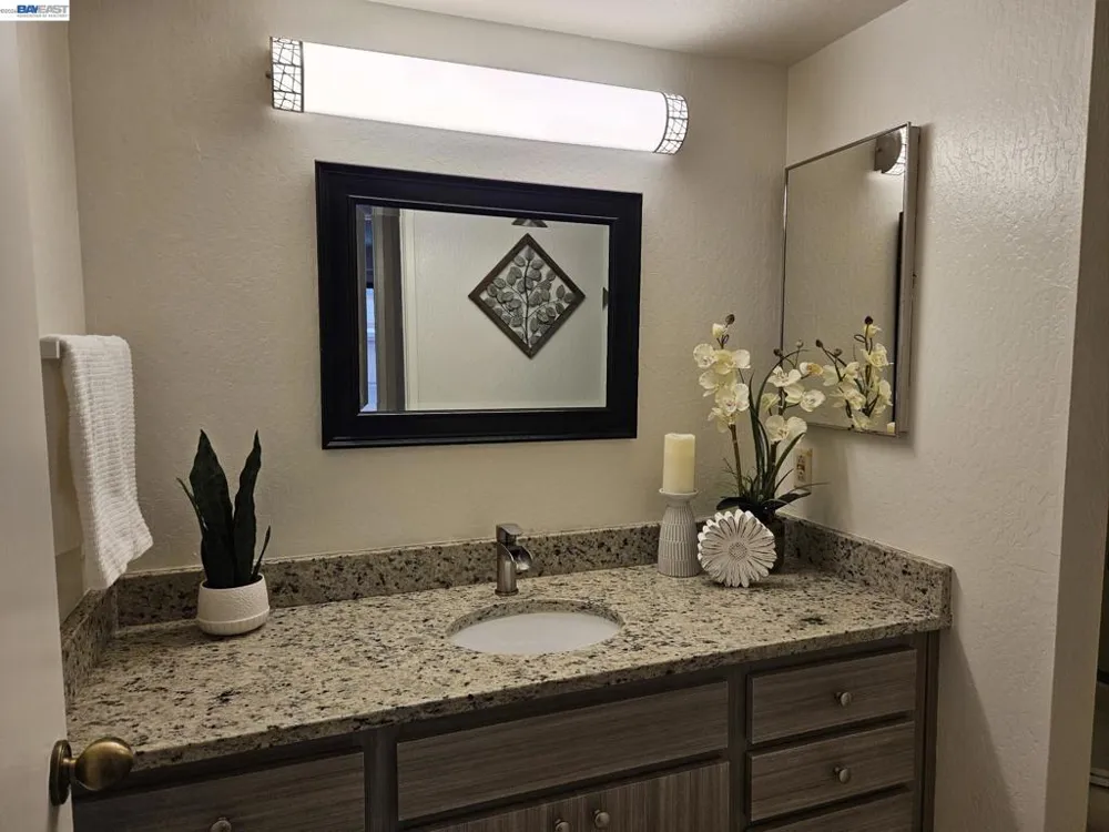 247 E Warren Cmn Fremont, CA 94539