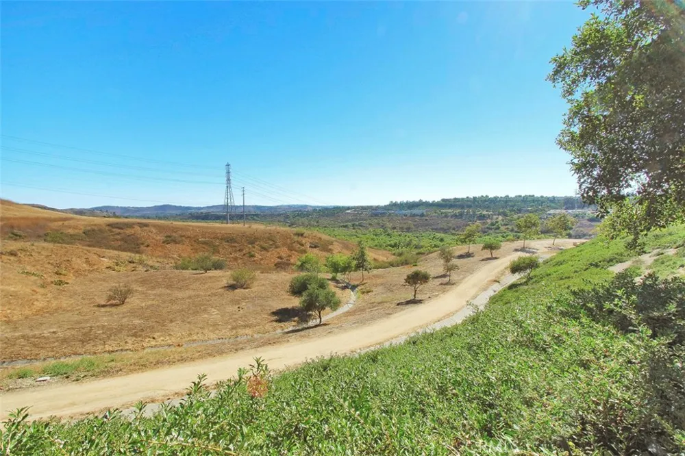 25 Thorp Spring Ladera Ranch, CA 92694