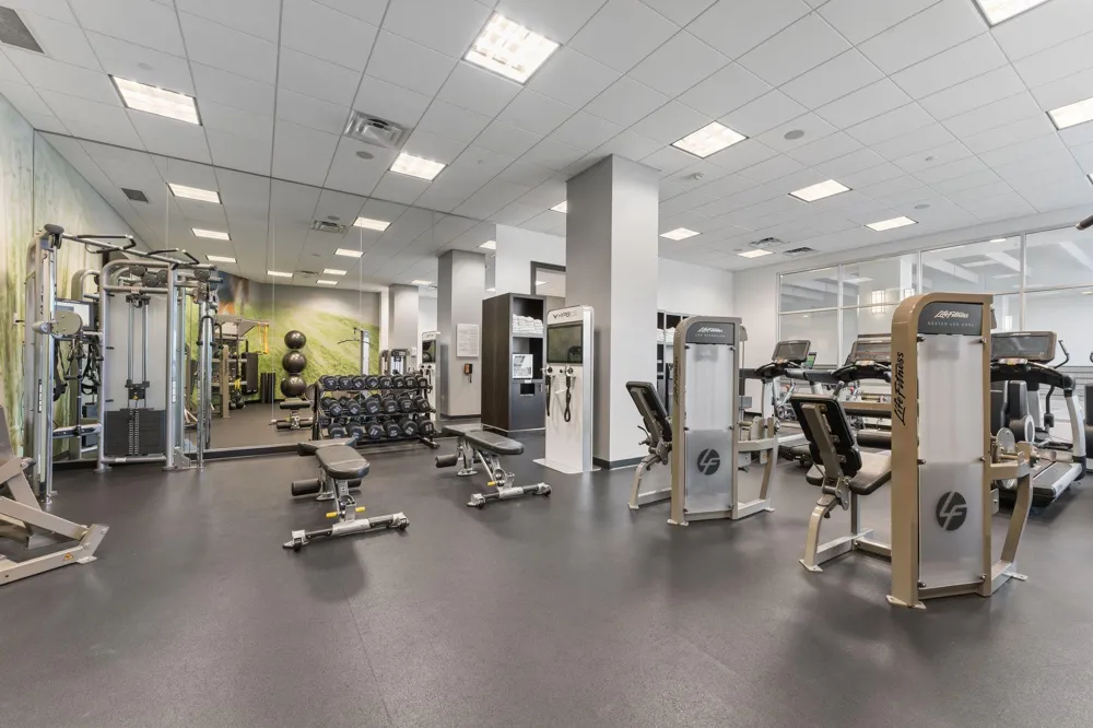 3209 Galleria #1003 Edina, MN 55435