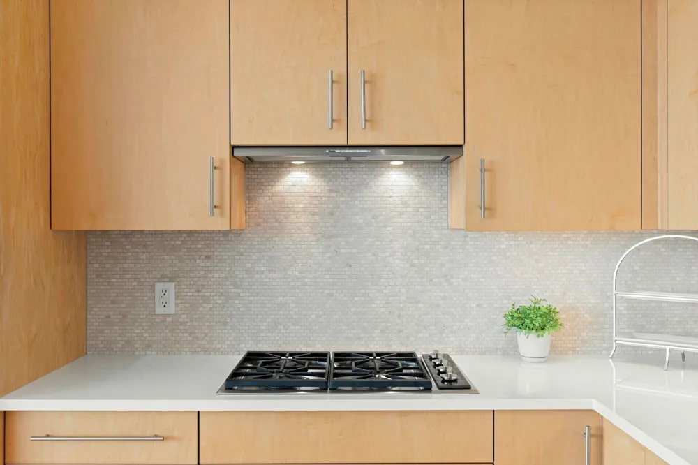 3209 Galleria #1003 Edina, MN 55435
