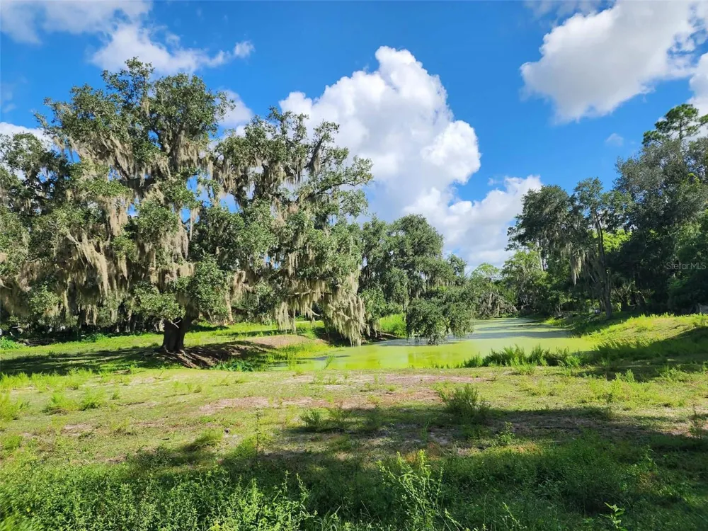 3102 THONOTOSASSA ROAD Plant City, FL 33565