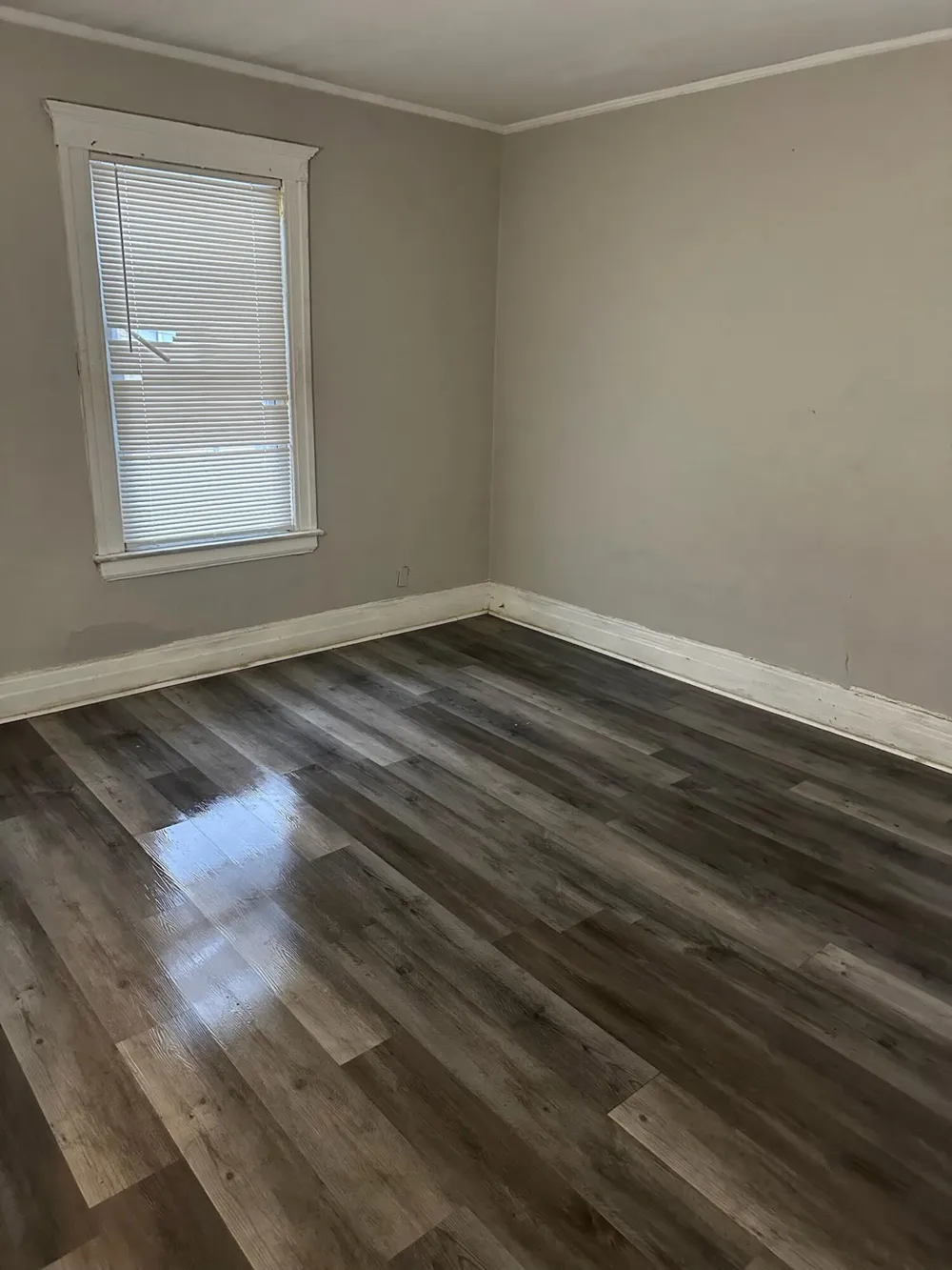 7349 Dunedin Street Detroit City, MI 48206