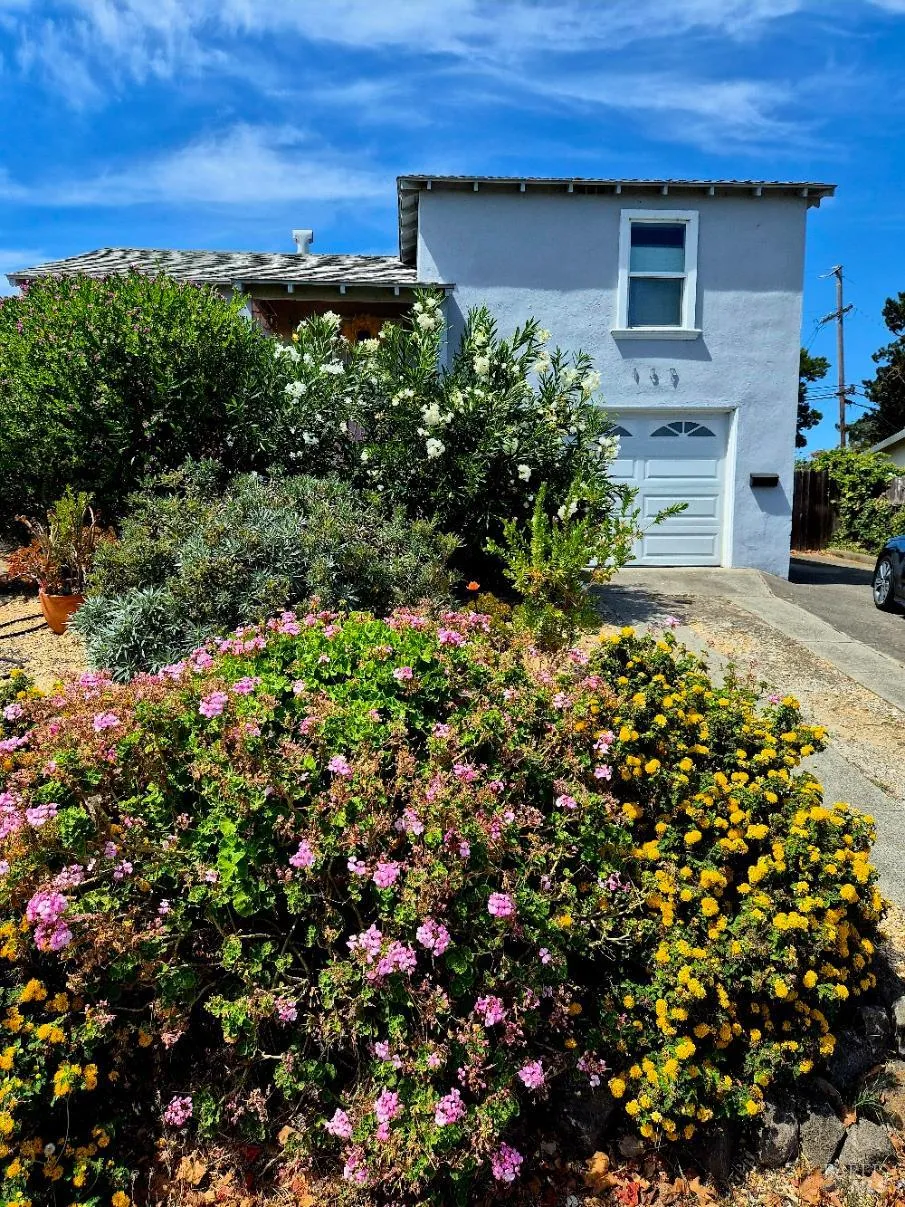 137 Hermosa Avenue Vallejo, CA 94589