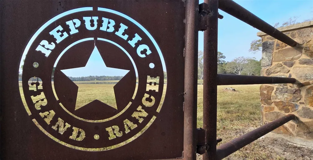 11514 Inspiration Drive Willis, TX 77378