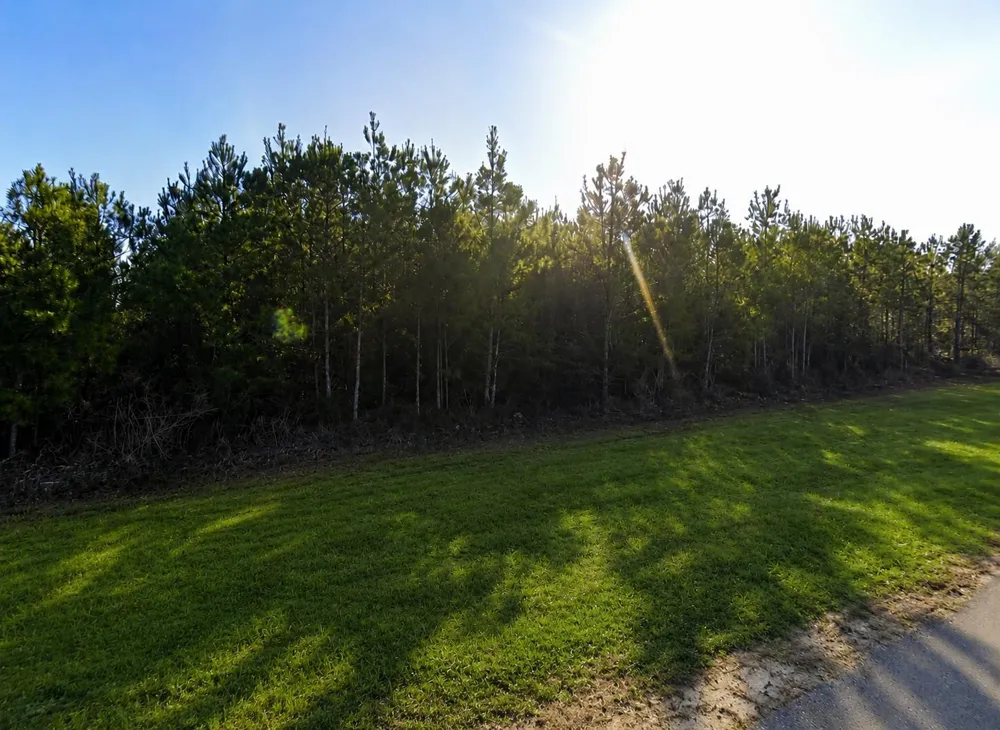 11514 Inspiration Drive Willis, TX 77378